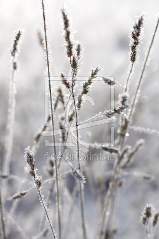 frei wählbarer Bildausschnitt für Ihr Bild auf Glas-Schneidebrett