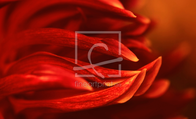 frei w&auml;hlbarer Bildausschnitt f&uuml;r Ihr Bild auf Glas-Schneidebrett