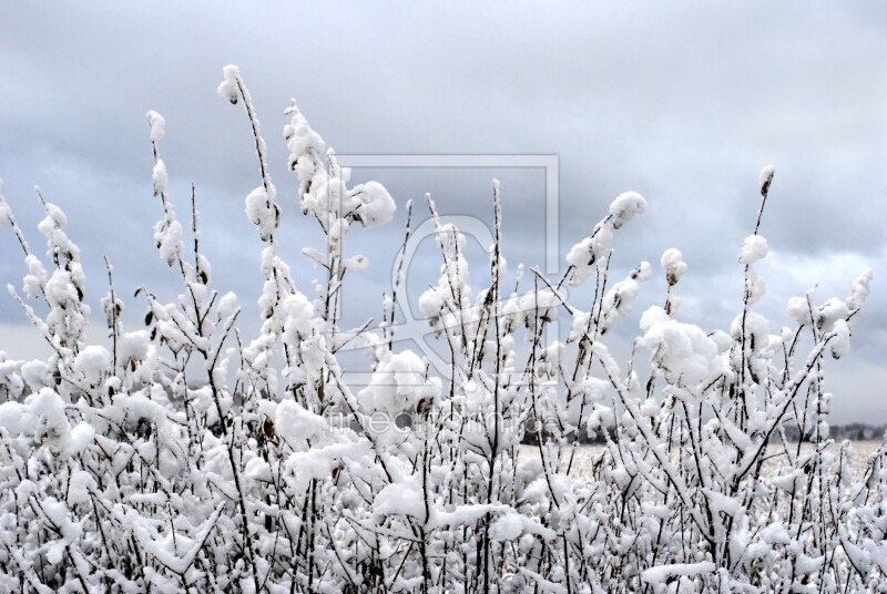 frei wählbarer Bildausschnitt für Ihr Bild auf Glas-Schneidebrett