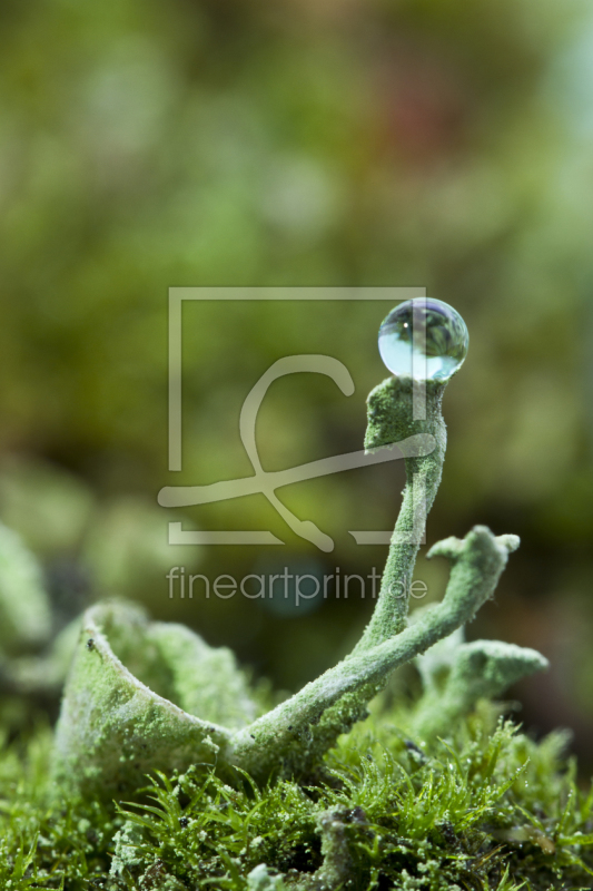 frei w&auml;hlbarer Bildausschnitt f&uuml;r Ihr Bild auf Glas-Schneidebrett