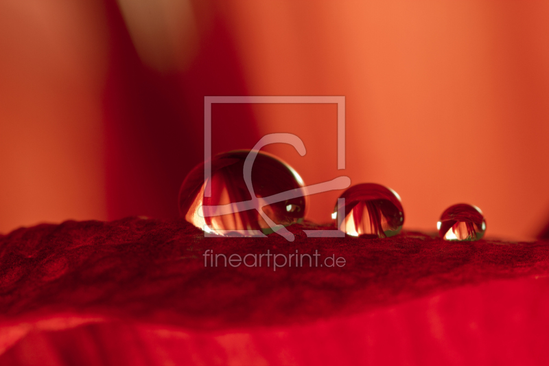 frei wählbarer Bildausschnitt für Ihr Bild auf Glas-Schneidebrett