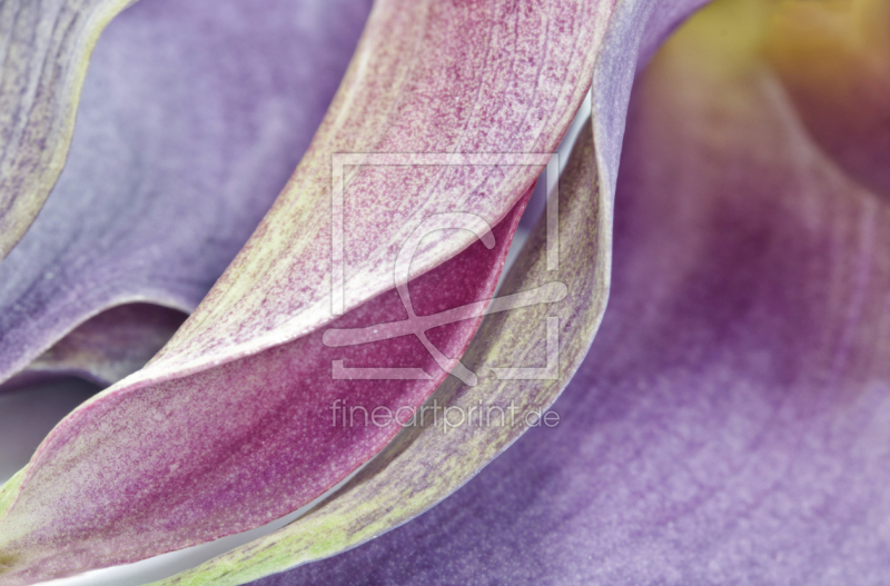 frei w&auml;hlbarer Bildausschnitt f&uuml;r Ihr Bild auf Glas-Schneidebrett