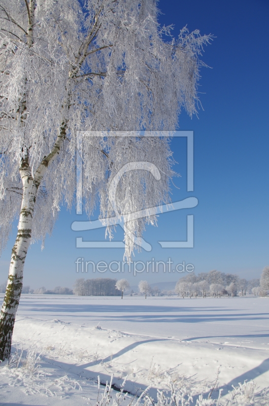 frei wählbarer Bildausschnitt für Ihr Bild auf Glas-Schneidebrett