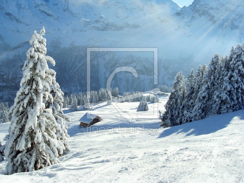 frei wählbarer Bildausschnitt für Ihr Bild auf Glas-Schneidebrett