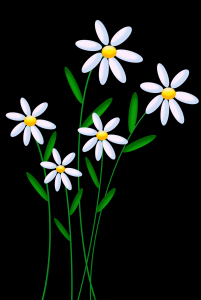 Bild-Nr: 10004249 Blumen Erstellt von: Atteloi