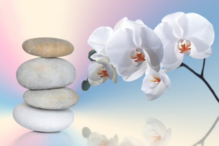 Bild-Nr: 10323671 Wellness Erstellt von: Atteloi