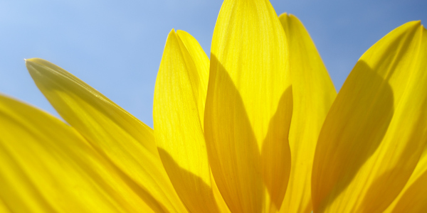 Bild-Nr: 11551452 Summertime Erstellt von: LiaF