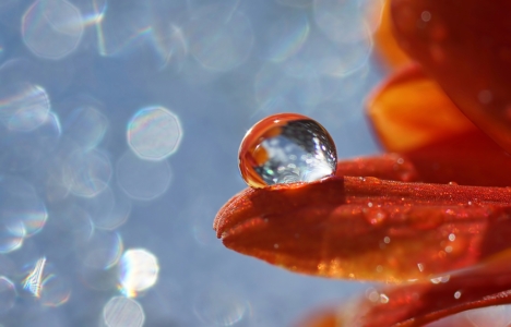 Bild-Nr: 11580358 World of drops Erstellt von: youhaveadream