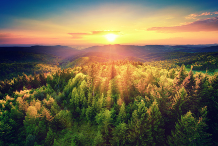 Bild-Nr: 12051465 Malerischer Sonnenuntergang über dem Wald Erstellt von: Smileus