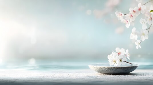 Bild-Nr: 12840419 Kirschblüten Erstellt von: Heike  Hultsch