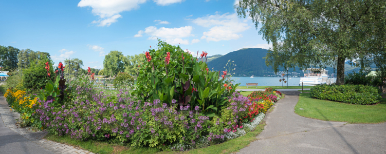Bild-Nr: 12846641 Uferpromenade Bad Wiessee I Erstellt von: SusaZoom