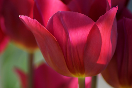 Bild-Nr: 12889581 Lichtspiele Erstellt von: youhaveadream