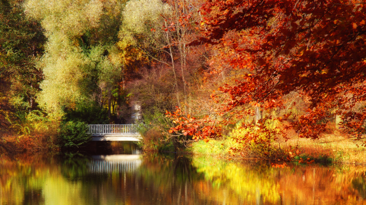 Bild-Nr: 12903686 Herbst im Park Erstellt von: Atteloi