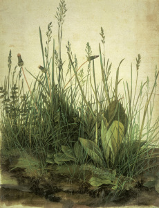 Bild-Nr: 30002940 A.Dürer / Das Große Rasenstück / 1503 Erstellt von: Dürer, Albrecht