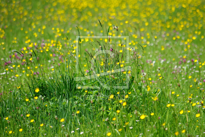 frei wählbarer Bildausschnitt für Ihr Bild auf Grußkarte