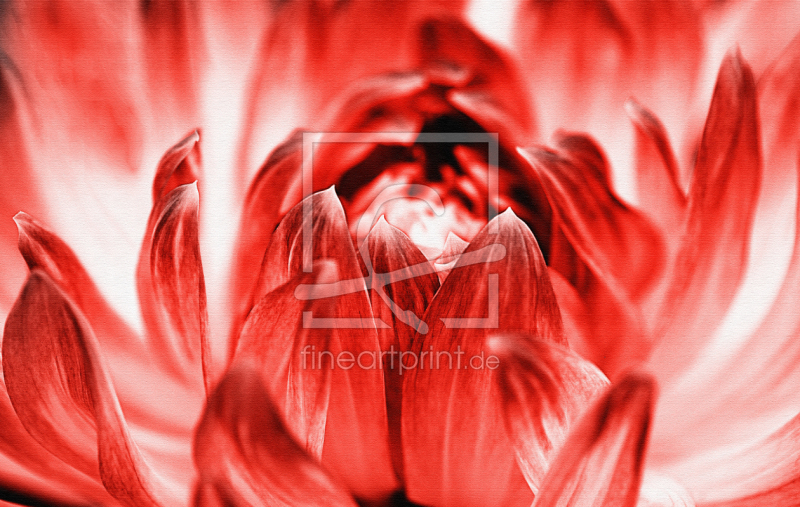 frei wählbarer Bildausschnitt für Ihr Bild auf Grußkarte