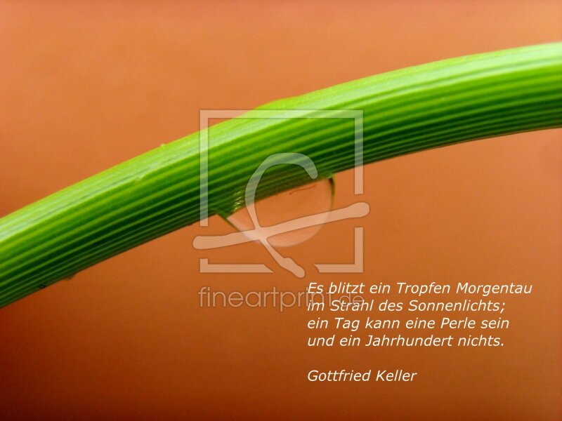 frei wählbarer Bildausschnitt für Ihr Bild auf Grußkarte