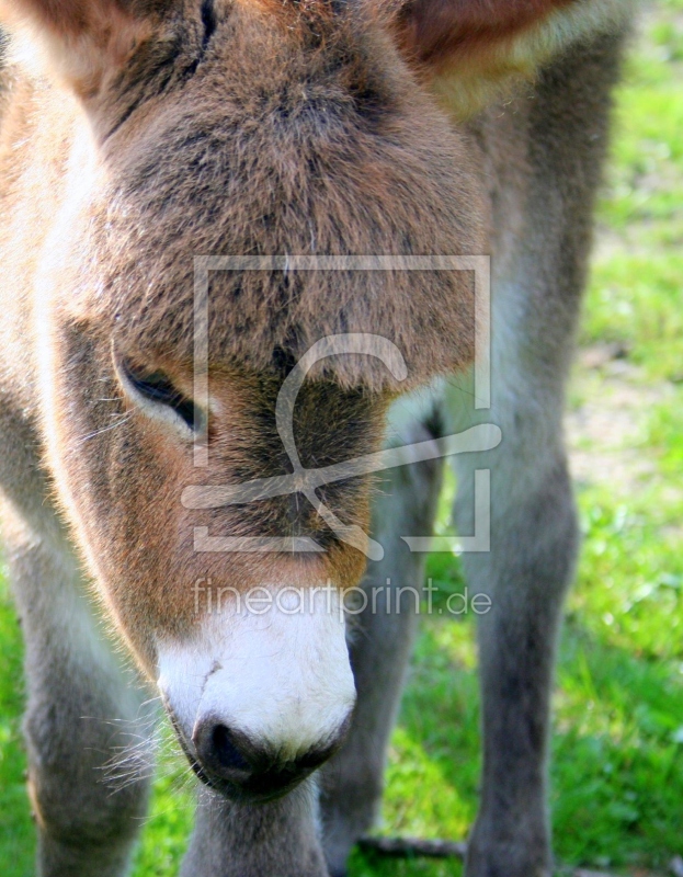 frei wählbarer Bildausschnitt für Ihr Bild auf Grußkarte