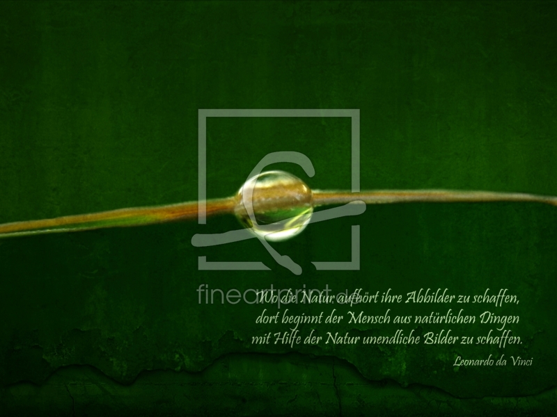 frei wählbarer Bildausschnitt für Ihr Bild auf Grußkarte