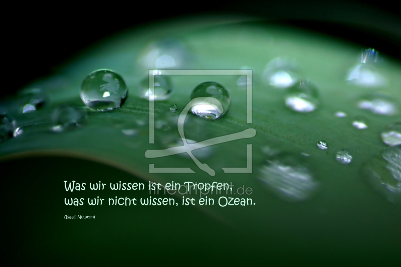 frei wählbarer Bildausschnitt für Ihr Bild auf Grußkarte