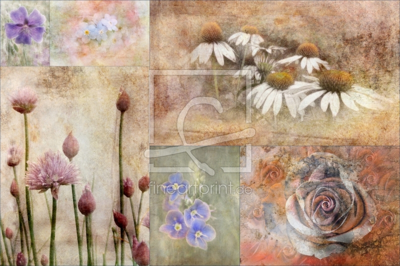 frei wählbarer Bildausschnitt für Ihr Bild auf Grußkarte