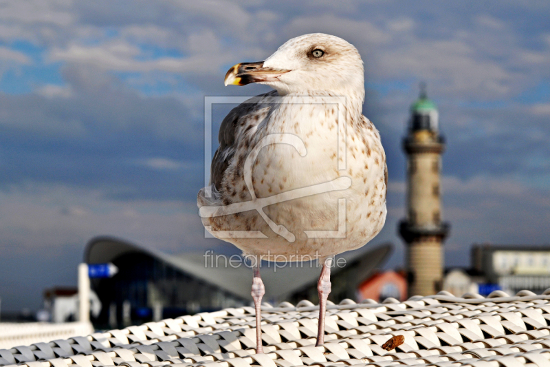 frei wählbarer Bildausschnitt für Ihr Bild auf Grußkarte