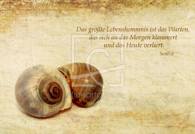 frei wählbarer Bildausschnitt für Ihr Bild auf Grußkarte