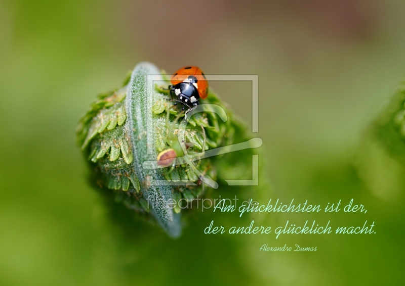 frei wählbarer Bildausschnitt für Ihr Bild auf Grußkarte