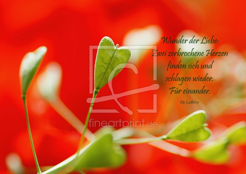 frei wählbarer Bildausschnitt für Ihr Bild auf Grußkarte