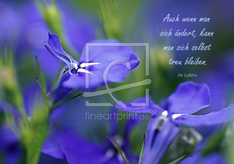 frei wählbarer Bildausschnitt für Ihr Bild auf Grußkarte