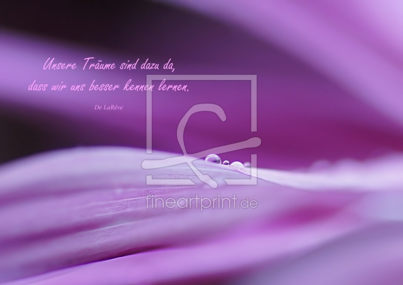 frei wählbarer Bildausschnitt für Ihr Bild auf Grußkarte