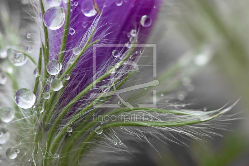 frei wählbarer Bildausschnitt für Ihr Bild auf Grußkarte