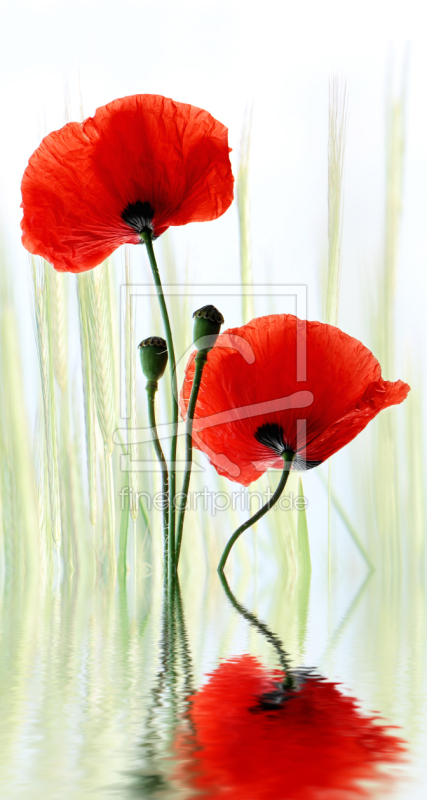 frei wählbarer Bildausschnitt für Ihr Bild auf Grußkarte