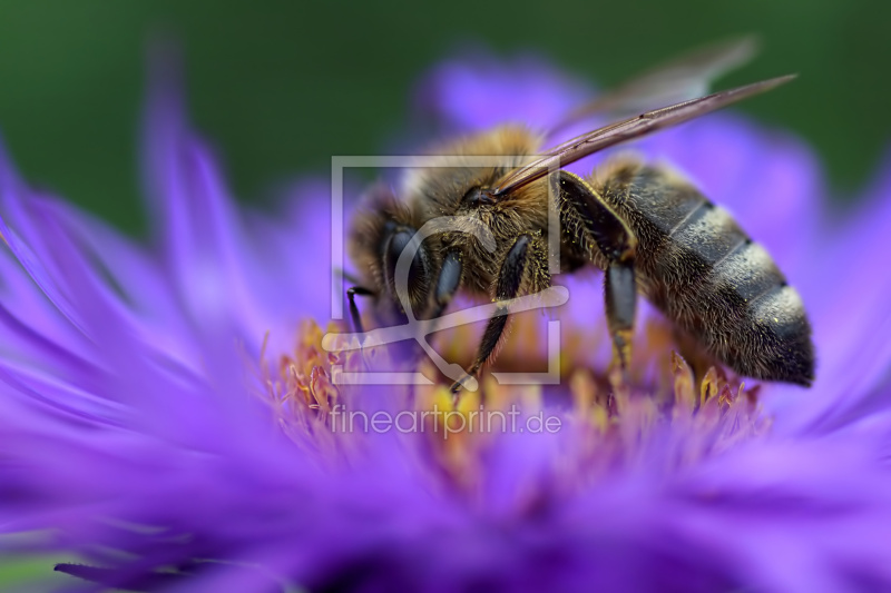 frei wählbarer Bildausschnitt für Ihr Bild auf Grußkarte