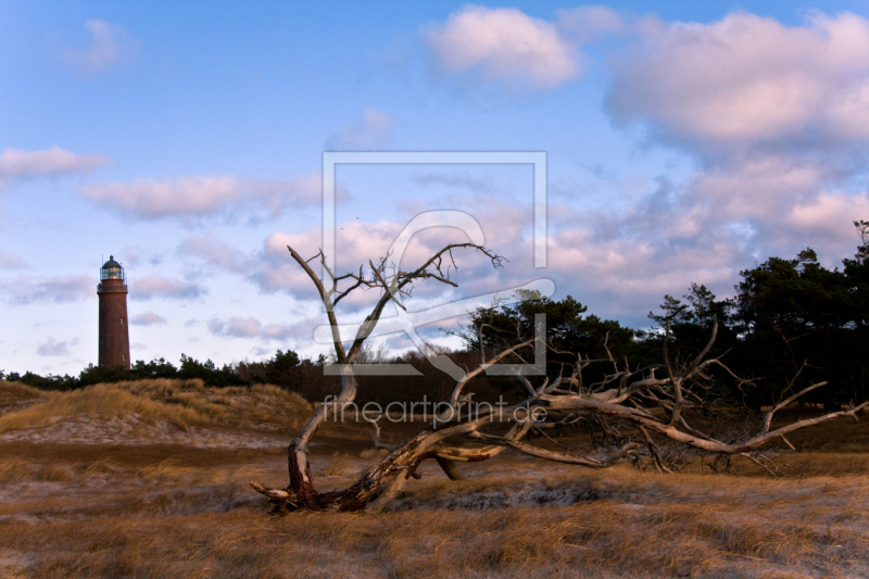 frei wählbarer Bildausschnitt für Ihr Bild auf Grußkarte