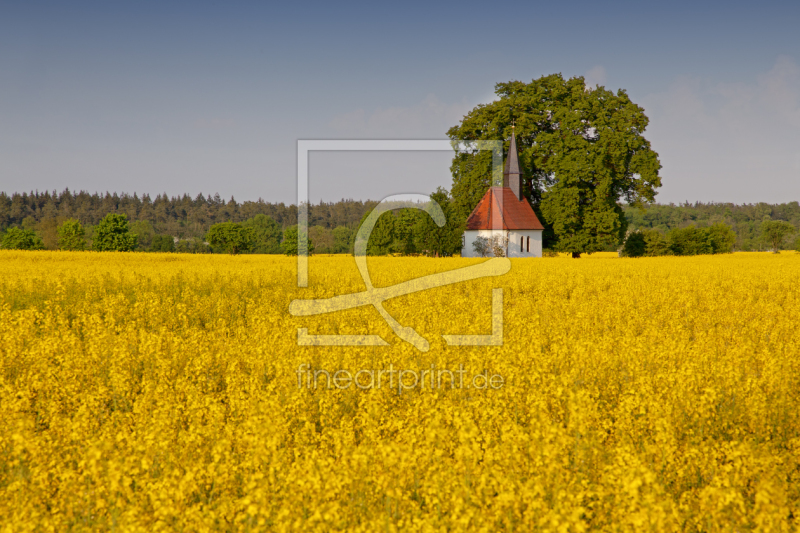 frei wählbarer Bildausschnitt für Ihr Bild auf Grußkarte