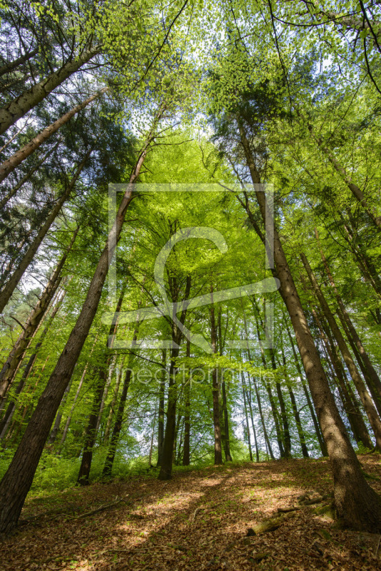 frei wählbarer Bildausschnitt für Ihr Bild auf Grußkarte