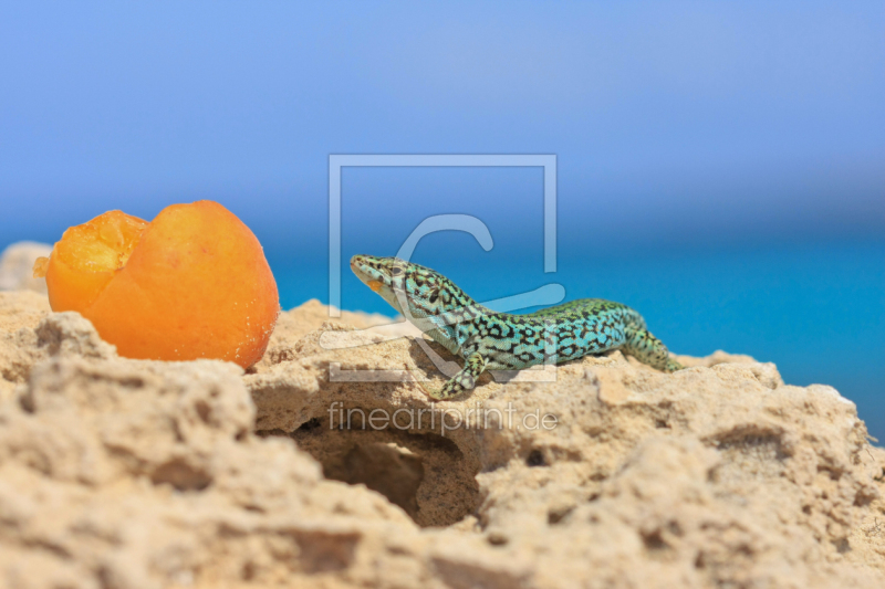 frei wählbarer Bildausschnitt für Ihr Bild auf Grußkarte