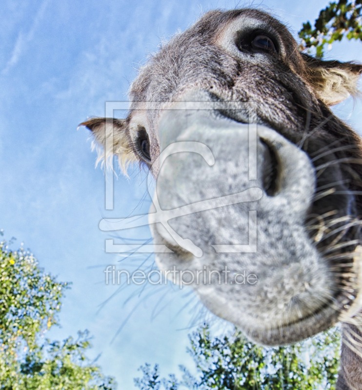 frei wählbarer Bildausschnitt für Ihr Bild auf Grußkarte