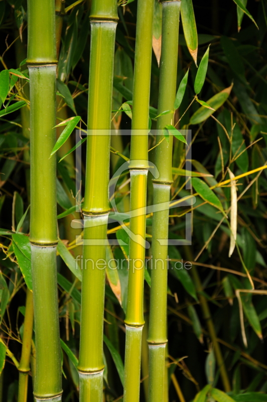 frei wählbarer Bildausschnitt für Ihr Bild auf Grußkarte