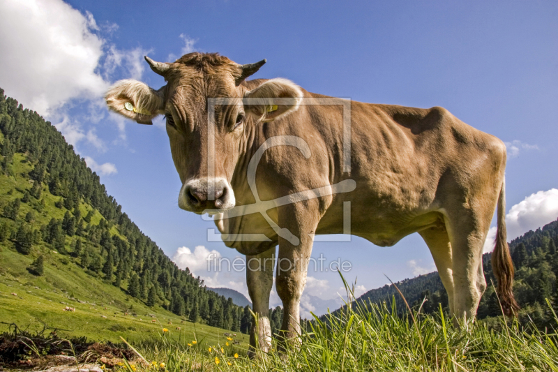 frei wählbarer Bildausschnitt für Ihr Bild auf Grußkarte