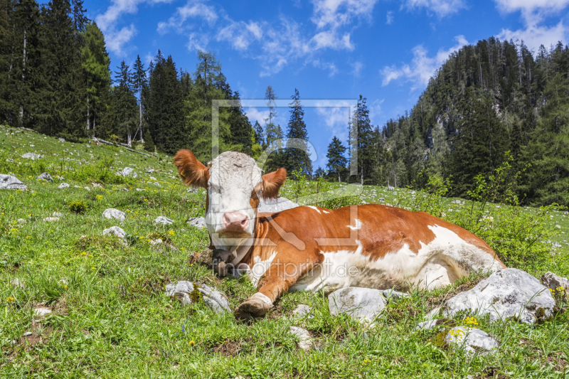 frei wählbarer Bildausschnitt für Ihr Bild auf Grußkarte