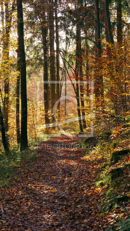 frei wählbarer Bildausschnitt für Ihr Bild auf Grußkarte