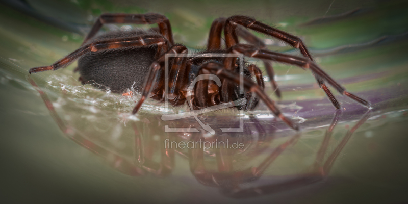 frei wählbarer Bildausschnitt für Ihr Bild auf Grußkarte