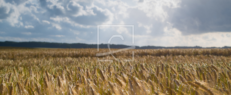 frei wählbarer Bildausschnitt für Ihr Bild auf Grußkarte