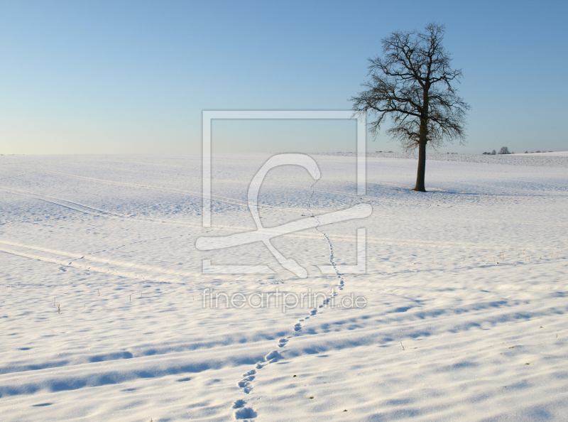 frei wählbarer Bildausschnitt für Ihr Bild auf Grußkarte