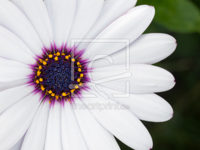 frei wählbarer Bildausschnitt für Ihr Bild auf Grußkarte