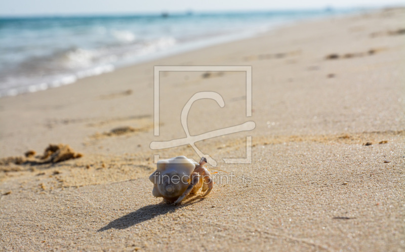 frei wählbarer Bildausschnitt für Ihr Bild auf Grußkarte