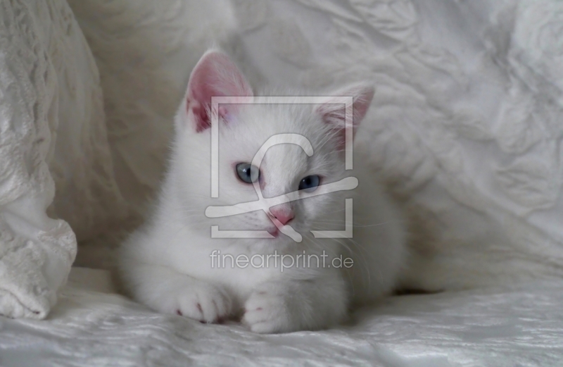 frei wählbarer Bildausschnitt für Ihr Bild auf Grußkarte