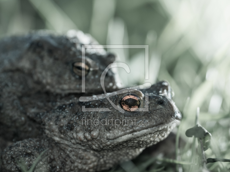 frei wählbarer Bildausschnitt für Ihr Bild auf Grußkarte